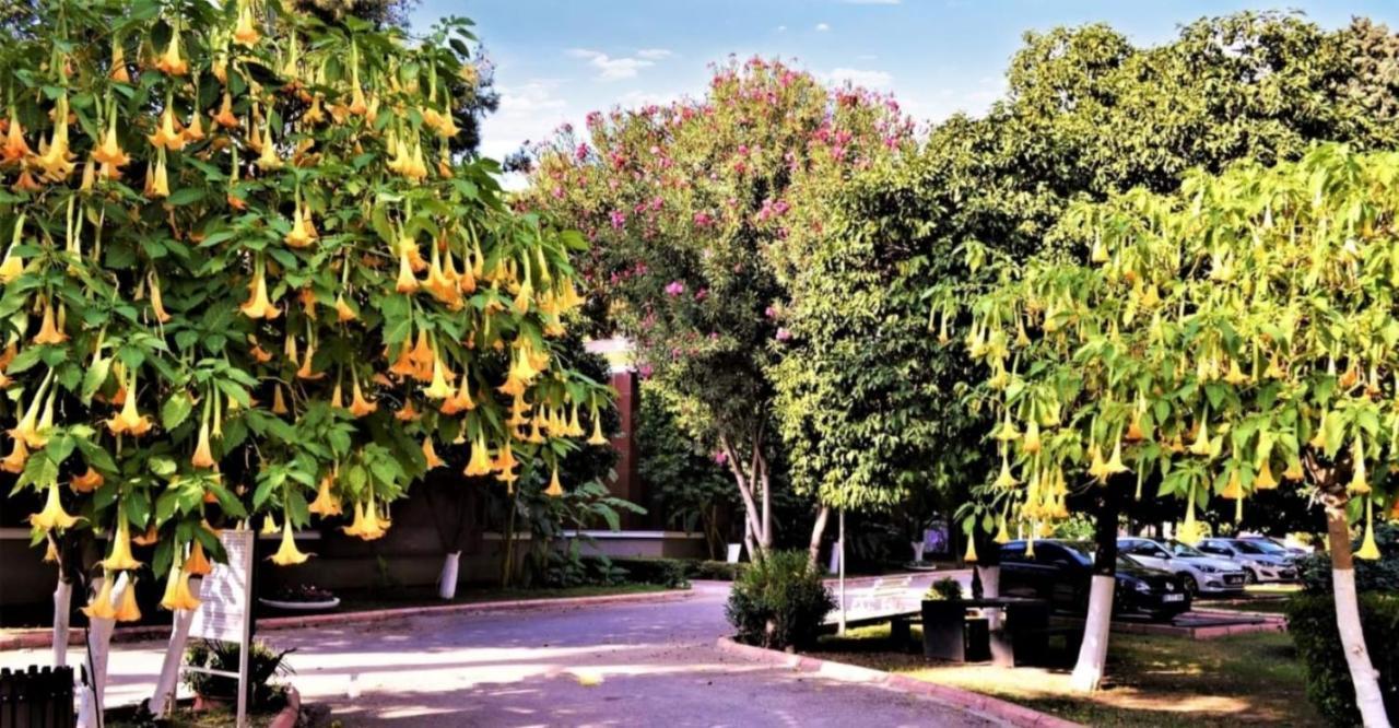 Cetinel Otel Adana Eksteriør billede